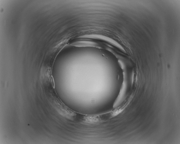 X0000083610141200702121124