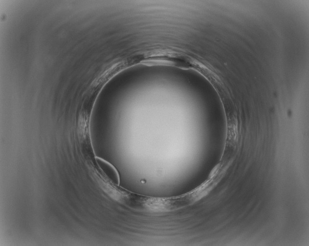 X0000083610142200702121124