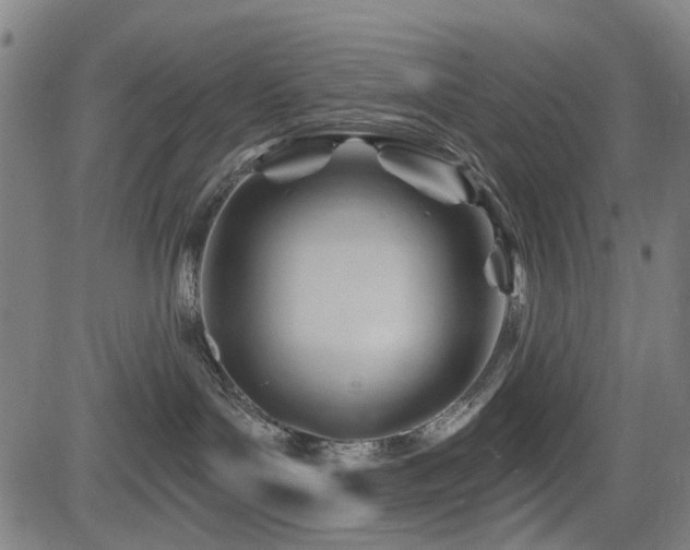 X0000083610143200702121124