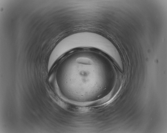 X0000083610144200702121124