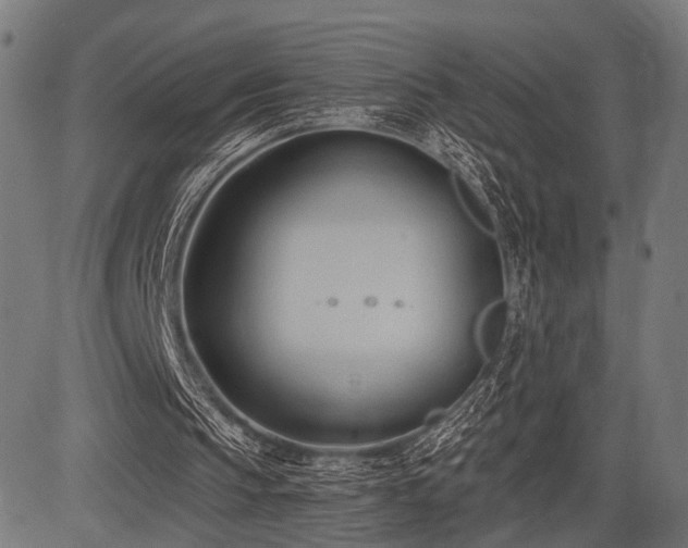 X0000083610145200702121124