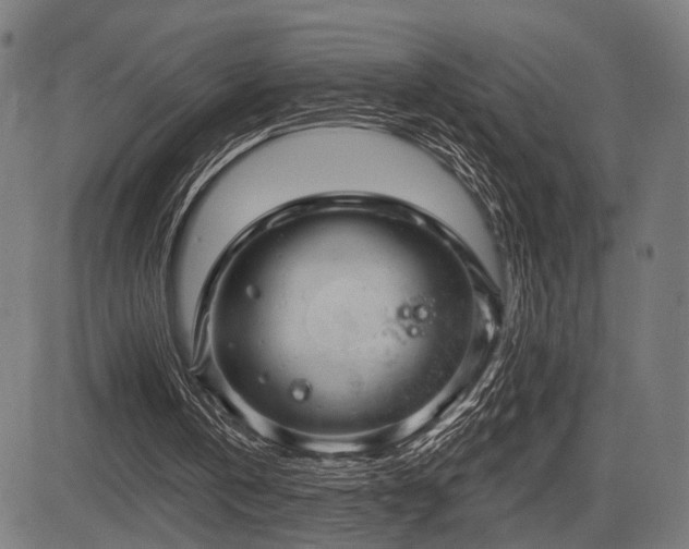 X0000083610146200702121124