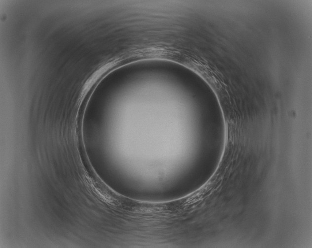 X0000083610147200702121124