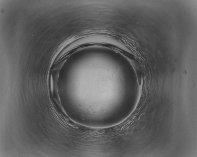 X0000083610148200702121124