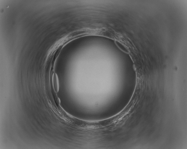 X0000083610149200702121124