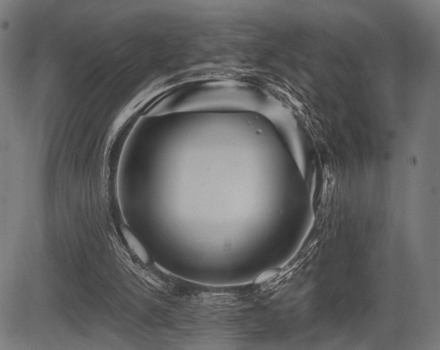 X0000083610150200702121124