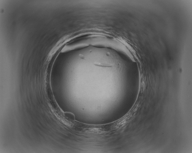 X0000083610151200702121124