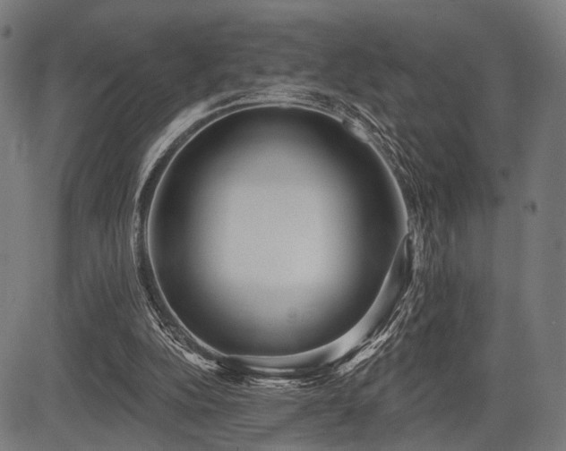 X0000083610152200702121124