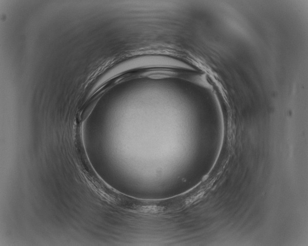 X0000083610153200702121124