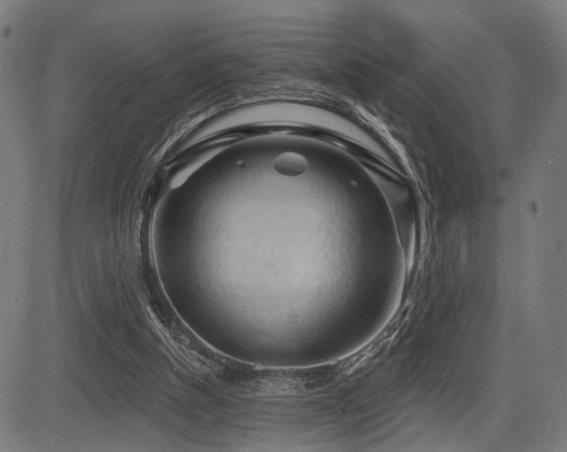 X0000083610154200702121124