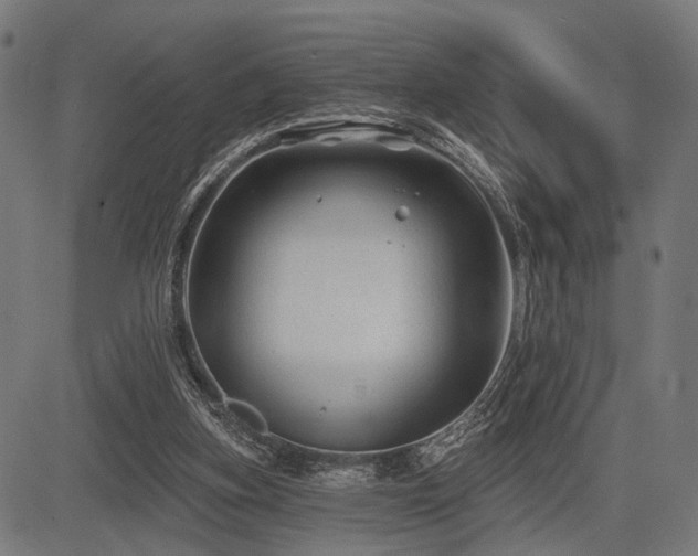 X0000083610155200702121124