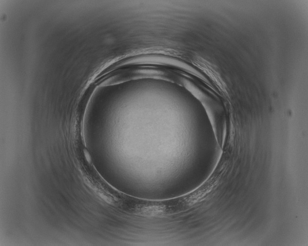 X0000083610156200702121124