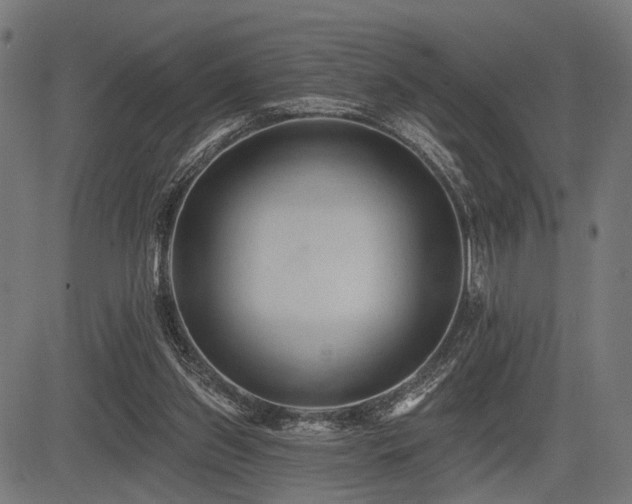 X0000083610157200702121124