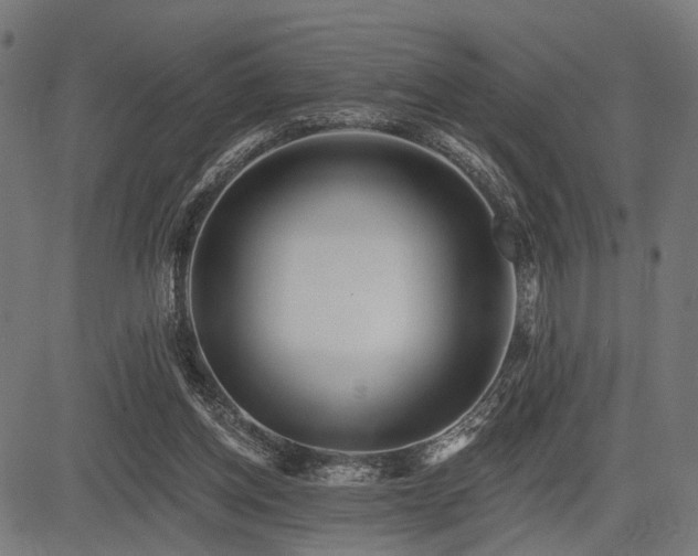 X0000083610158200702121124