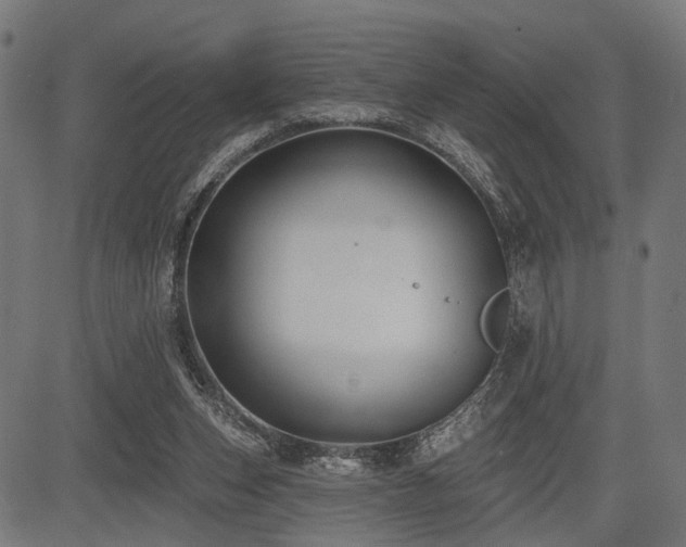 X0000083610159200702121124