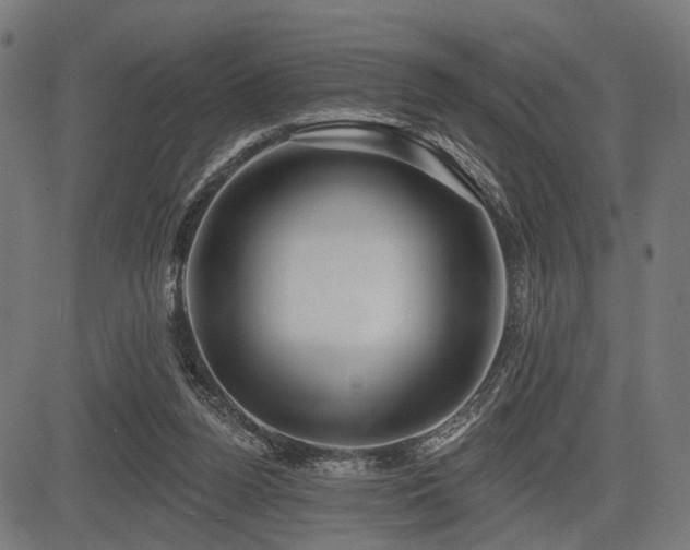 X0000083610160200702121124