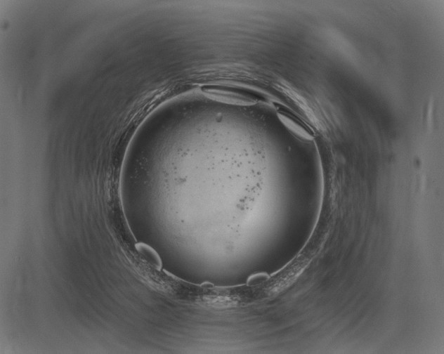 X0000083610161200702121124