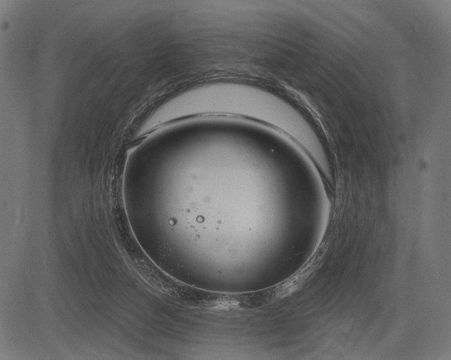 X0000083610162200702121124