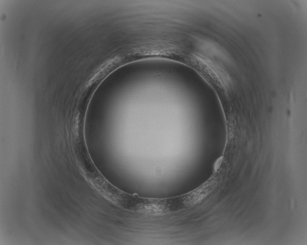 X0000083610163200702121124