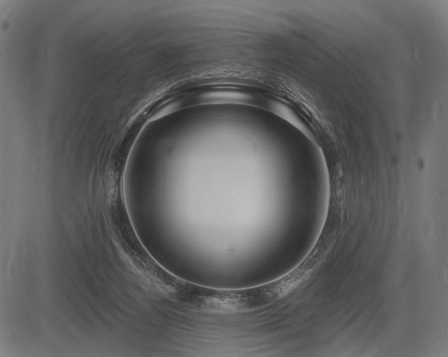 X0000083610164200702121124