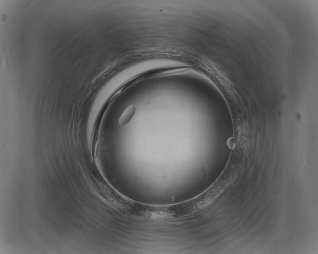 X0000083610165200702121124