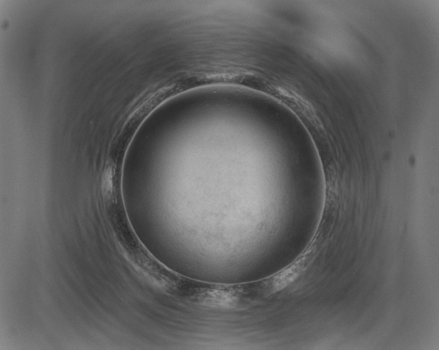 X0000083610166200702121124