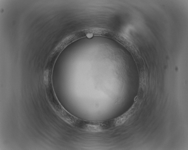 X0000083610167200702121124