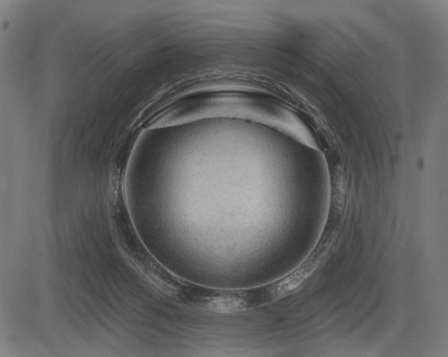 X0000083610168200702121124