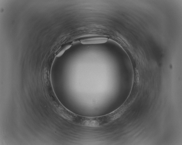 X0000083610169200702121124