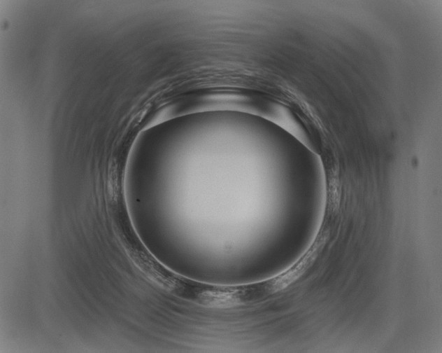 X0000083610170200702121124