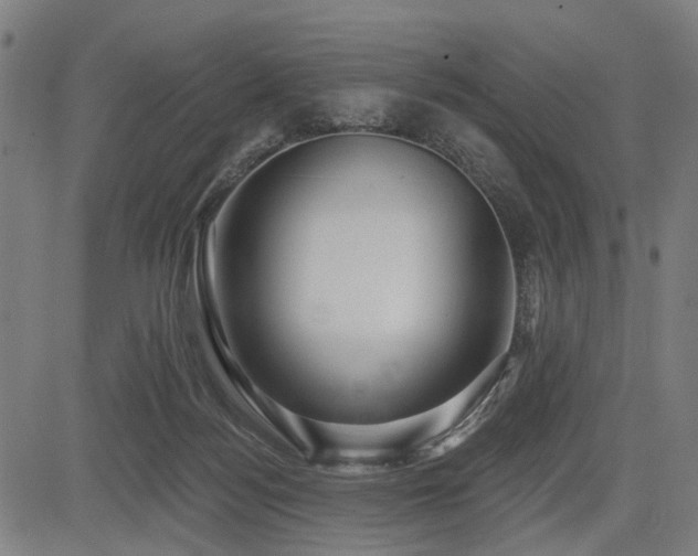 X0000083610172200702121124