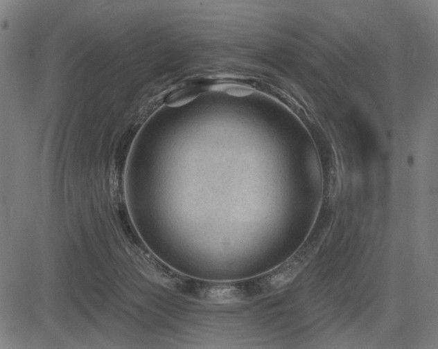 X0000083610173200702121124