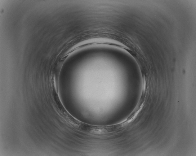 X0000083610174200702121124