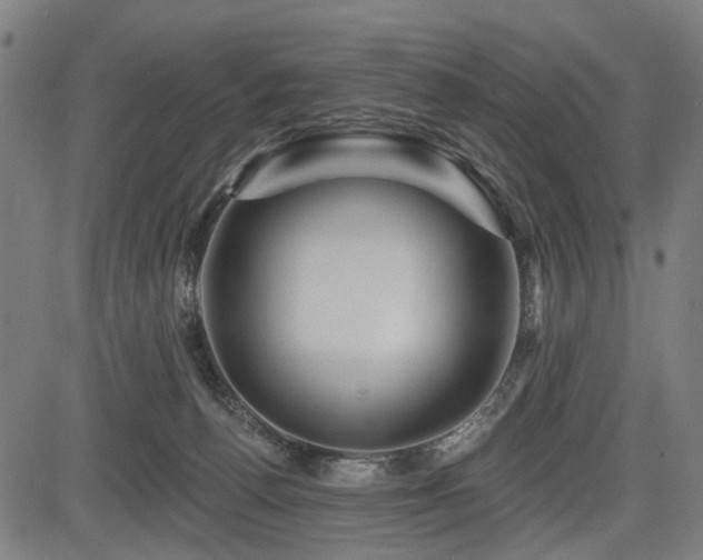 X0000083610176200702121124