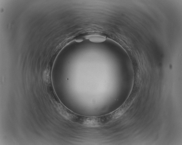 X0000083610177200702121124