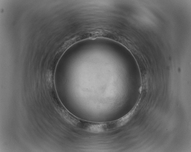 X0000083610178200702121124