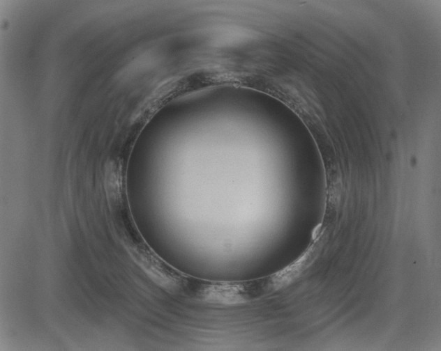 X0000083610179200702121124