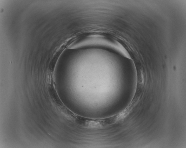 X0000083610180200702121124