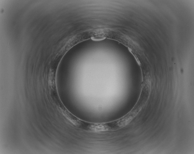 X0000083610181200702121124