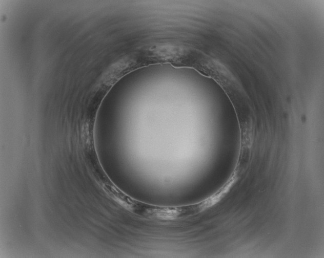 X0000083610182200702121124