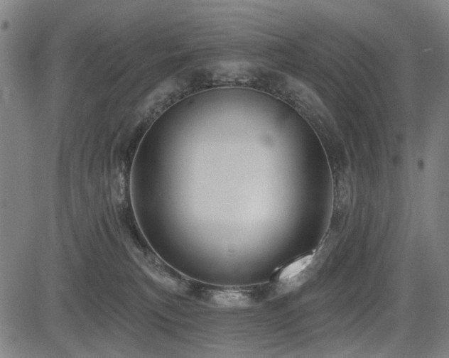 X0000083610183200702121124