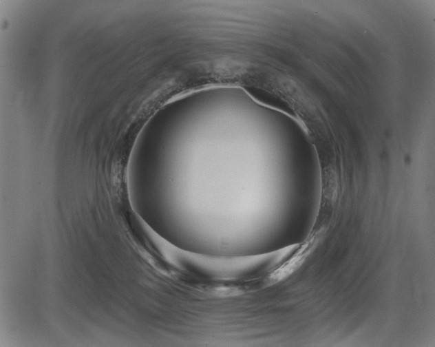 X0000083610184200702121124