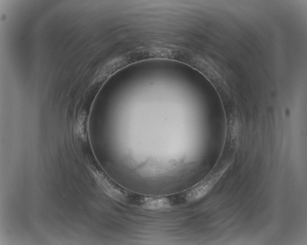 X0000083610185200702121124