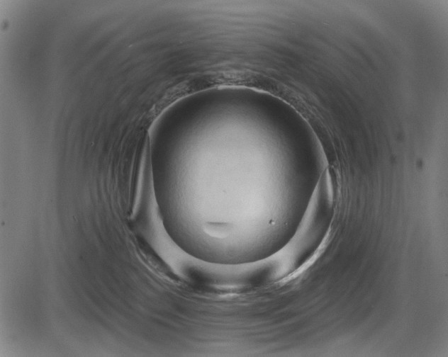 X0000083610186200702121124