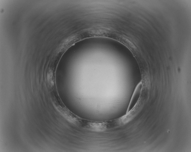 X0000083610187200702121124