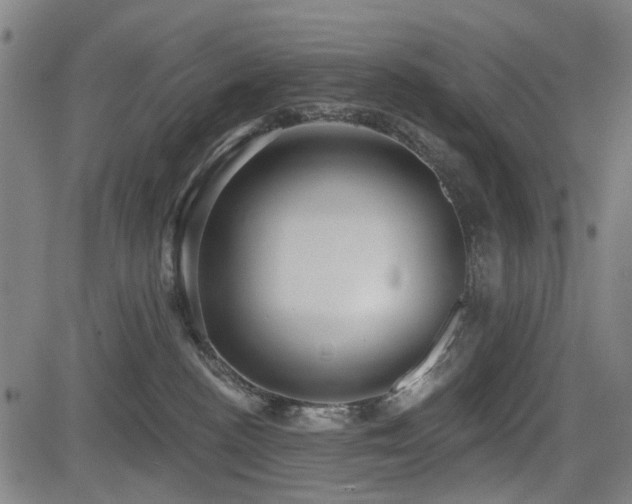 X0000083610188200702121124