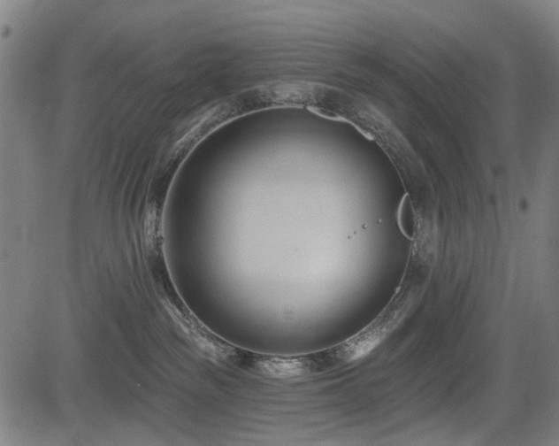 X0000083610189200702121124