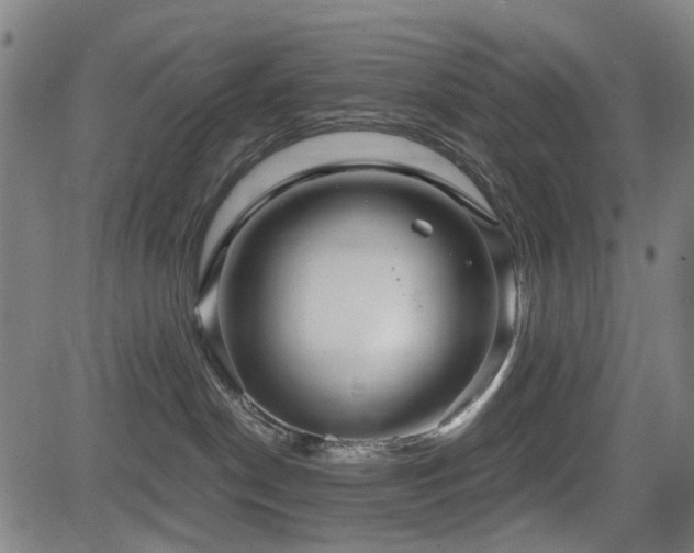 X0000083610190200702121124