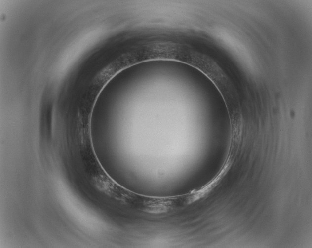 X0000083610191200702121124