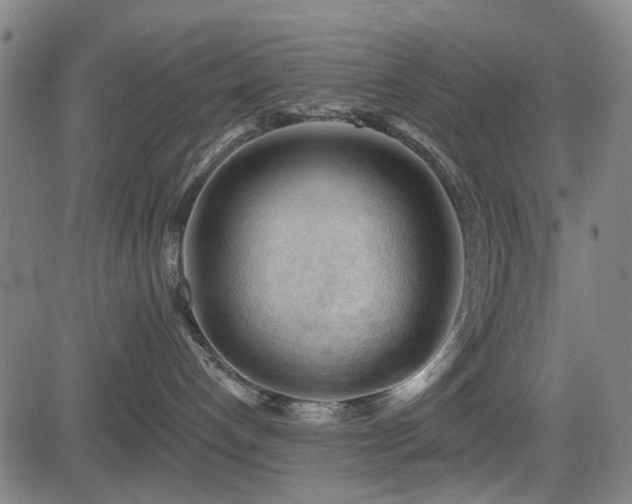 X0000083610192200702121124